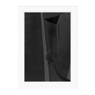 Black Leaf by Stuart Möller Framed For Sale