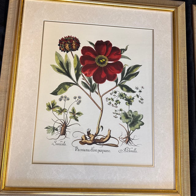 Large Botanical Original Lithographs Vibrant Color in Gold Gilt Frames Set of 2 Red Floral For Sale - Image 6 of 13
