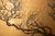 1960s "Mandarin Ducks and Sakura", 1960s Shōwa Era Japanese Byobu Screen For Sale - Image 5 of 16