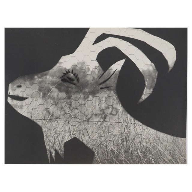 Pablo Picasso, Diurnal, The Goat at the Fence, Original Phototype For Sale