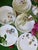 2020s Narumi "Lucy's Garden" Series Floral Bone China Plate - Set of 5 For Sale - Image 5 of 9