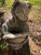 Traditional Bunny Concrete Planter For Sale - Image 3 of 5