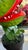American Classic Movie Memorabilia Animated Audrey Plant For Sale - Image 3 of 15