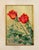 Vittorio Novelli, Still Life with Flowers, 1958, Oil Painting on Cardboard, Framed For Sale - Image 6 of 11