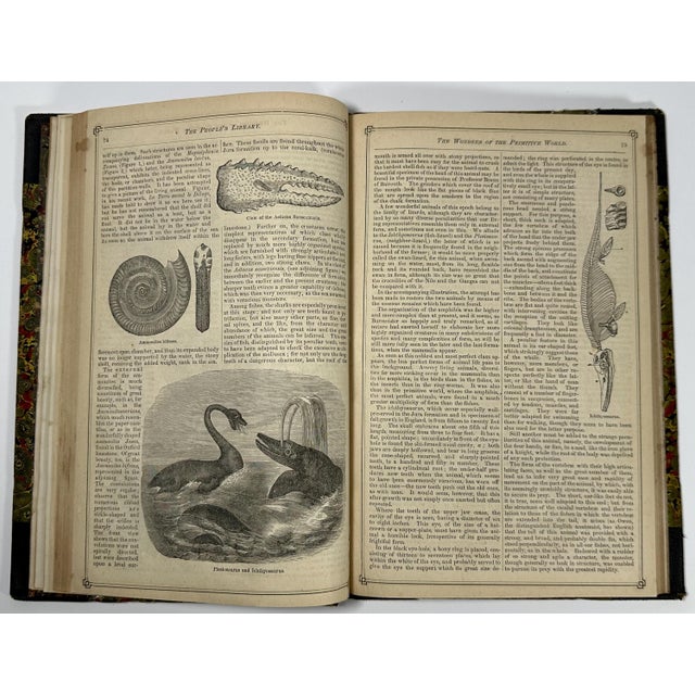 Wonders of the Primitive World: Antique 1869 Illustrated Book For Sale - Image 6 of 10