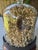 Cabinet of Curiosities Glass Cloche With Bird’s Nest Wrapped in Dried Gypsophila on Decorative Asian Wooden Stand For Sale - Image 11 of 15