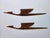 Mid-Century Wooden Wall Sculptures of Birds, 1960s For Sale - Image 4 of 16