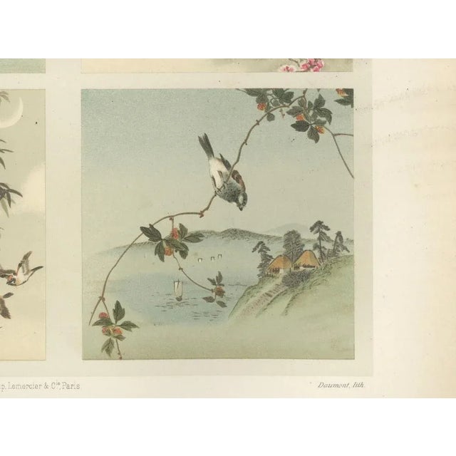 Six Panels of Natures Harmony, 1882, Paper For Sale - Image 3 of 10