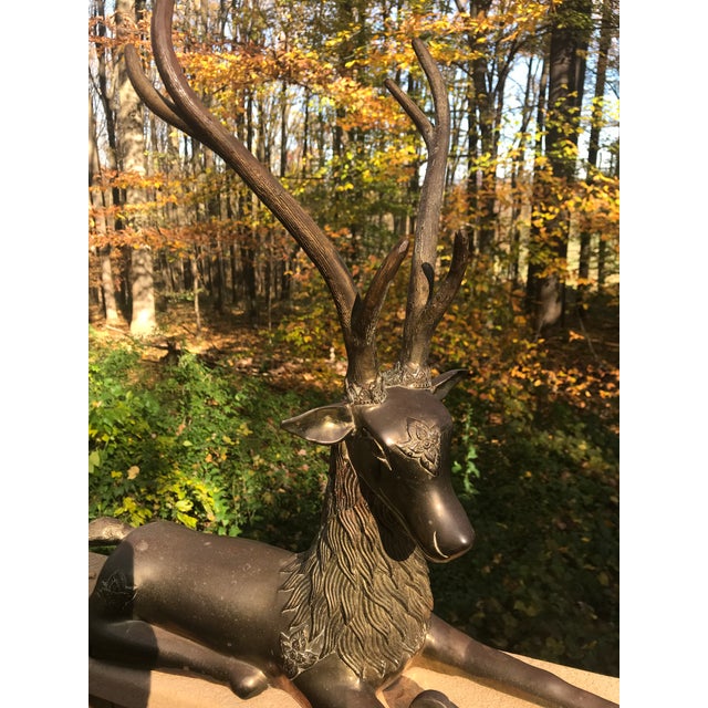 Reclining Reindeer Statue Solid Brass Chairish