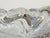 Transparent 1920’s Italian Blown Glass Bowl Attributed to Ercole Barovier For Sale - Image 8 of 13