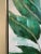 Large Green Palm Painting in Silver Frame For Sale - Image 4 of 13