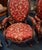 Antique Louis-Philippe Mahogany Chairs, 1800s, Set of 2 For Sale - Image 4 of 7