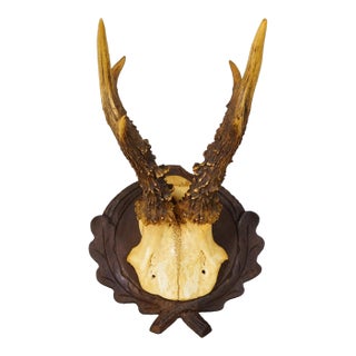 Antique Red Deer Trophy on Carved Plaque, Black Forest, Germany ca.1935 For Sale