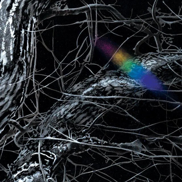 Agate Apkalne, Tree of Soul, 2020, Oil on Canvas For Sale - Image 4 of 5