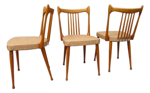 Mid-Century Dutch Organic Chairs from Stevens, 1950s, Set of 3