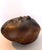 1970s Brown Lacquered Ceramic Tulip Vase / Centerpiece attributed to Giacomo Onestini, 1970s For Sale - Image 5 of 15