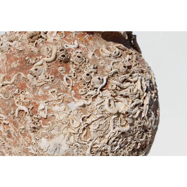 Ceramic 19th Century Antique Terracotta Octopus Trap Undersea Pot For Sale - Image 7 of 13