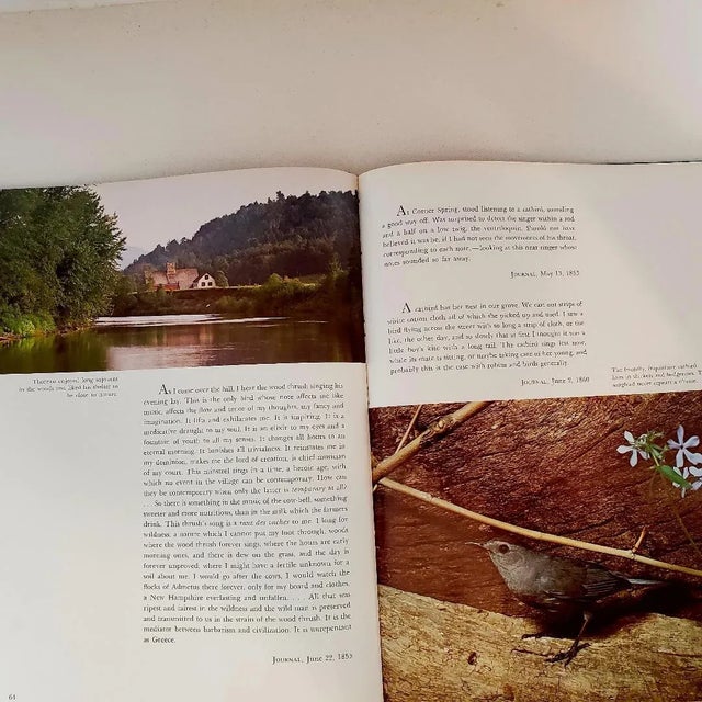 1960s America the Beautiful, Words of Henry Thoreau, Vintage Hardcover For Sale - Image 5 of 8