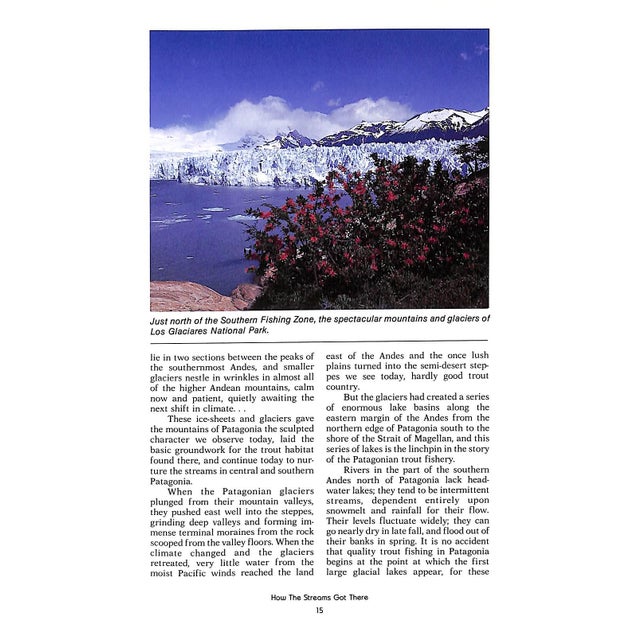 Traditional "Argentine Trout Fishing: A Fly Fisherman's Guide to Patagonia" 1991 Leitch, William C. For Sale - Image 3 of 12