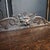 Mid 19th Century Victorian Oak Carved Console Table With One Drawer For Sale - Image 12 of 18