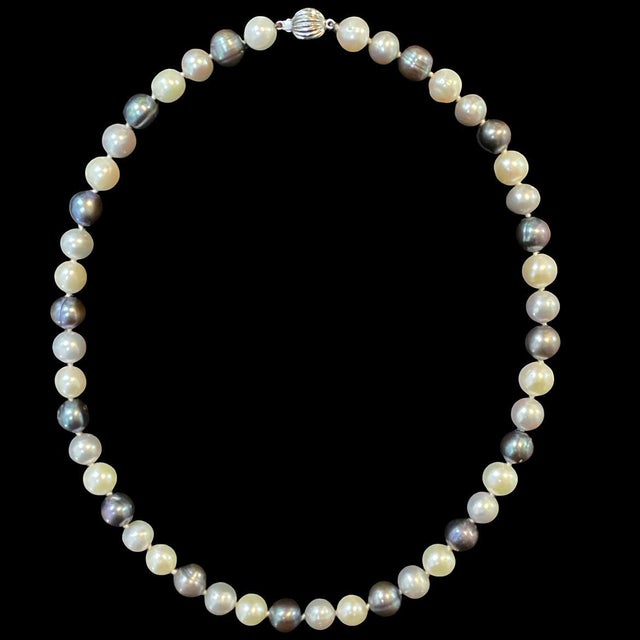 Mid 20th Century Mid 20th Century Mixed-Color Pearl Beaded Necklace With 14k White Gold Clasp For Sale - Image 5 of 5