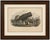 Le Physale Cylindrique (Sperm Whale), Hand-Colored Engraving, 1840 A remarkable nineteenth-century depiction of a stranded...