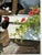 1995 Persis Clayton Weirs "Do Not Disturb" Signed Numbered Print Cats, Birds with COA This product is a limited edition...
