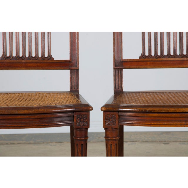 Late 19th Century Antique French Louis XVI Style Maple Dining Chairs W/ Cane Seats - Set of 6 For Sale - Image 5 of 12