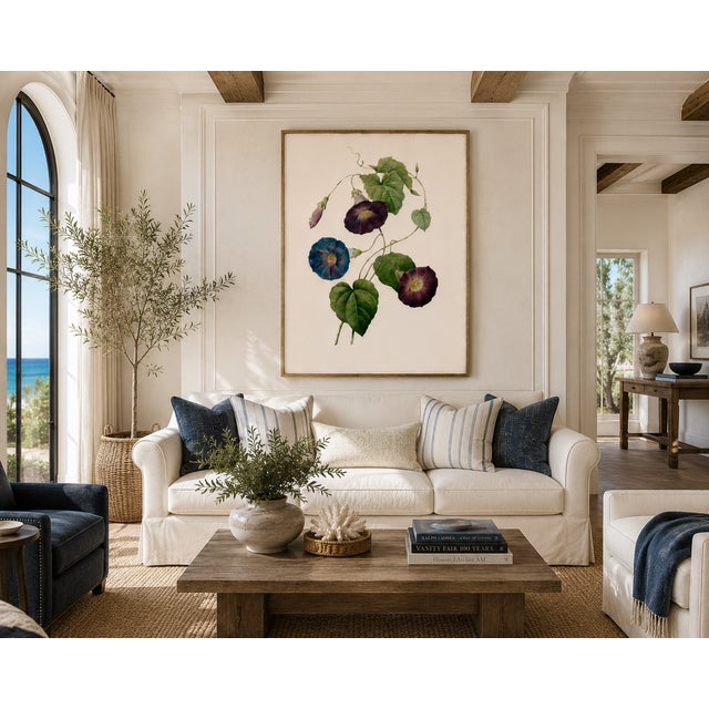 Star-Glory Morning-Glory, Vintage Botanical Art Print Reproduction by Pierre-Joseph Redouté, 40" X 60" For Sale - Image 4 of 10