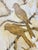 Janet Tava "Song of Spring Ii" Botanical Art Print For Sale - Image 4 of 12