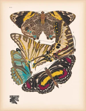 Papillons (Butterflies) Plate 5 Giclee Reproducion Art Print by Emile Allian Séguy