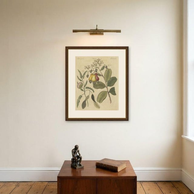 Bertuch, Cashew Apple and Nut with Acacia, 1805, Print For Sale - Image 10 of 12