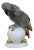Antique 1925 Hutschenreuther Fritz Klee African Gray Parrot Porcelain Figurine For Sale