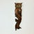 Mid-Century Boho Chic Arts & Crafts Folk Art Hand Carved Wood Owl on Branch Sculptural Wall Object For Sale - Image 12 of 18