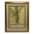 Large Botanical Musa Art Print in Giltwood Frame For Sale