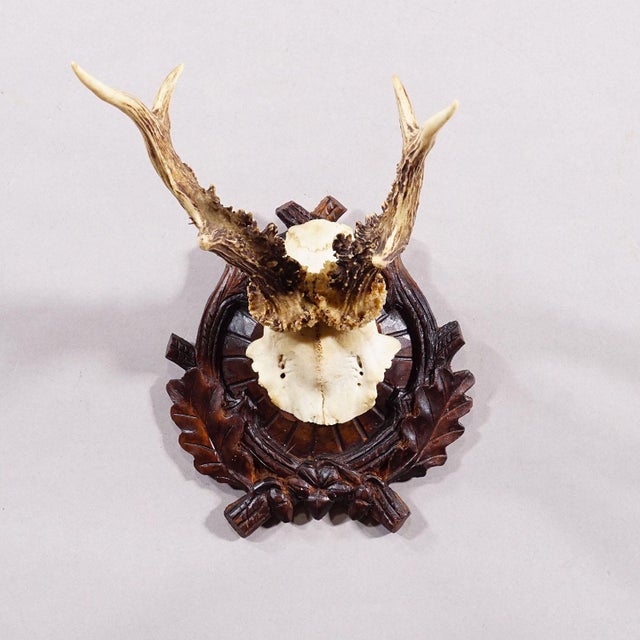 Rustic European Antique Black Forest Red Deer Trophy on Carved Plaque - Germany Ca. 1910 For Sale - Image 3 of 5