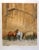 "Canyon Horses" unframed limited edition lithograph by American artist James Asher. Hand signed and numbered by the artist...