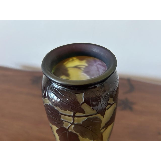 Ovoid-Shaped Glass Vase from Emile Gallé, 1890s For Sale - Image 16 of 18