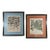 Vintage Framed Basilius Besler Botanical Lithograph Prints Hortus Eystettensis Pair For Sale