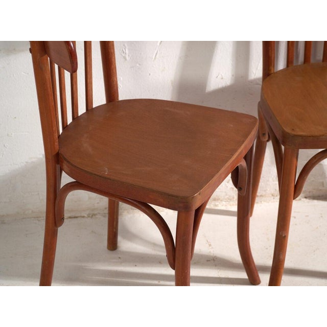 Wood Bentwood Chairs in the style of Thonet, Central Europe, 1930, Set of 4 For Sale - Image 7 of 15