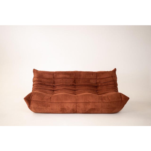 Togo Living Room Set in Velvet Blue by Michel Ducaroy for Ligne Roset, 1979, Set of 5 For Sale - Image 6 of 14