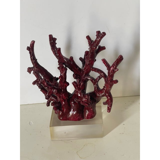 Faux Coral on Lucite Mid Century Coastal Sculpture For Sale - Image 4 of 4