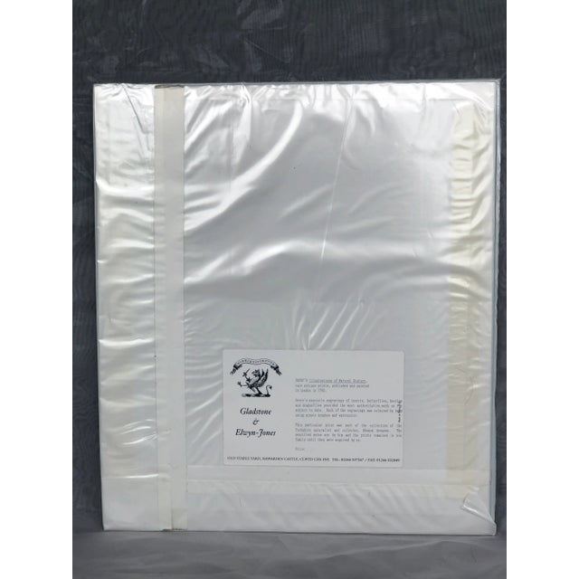 18th Century Hand-Colored Entomology Art Print For Sale - Image 11 of 13