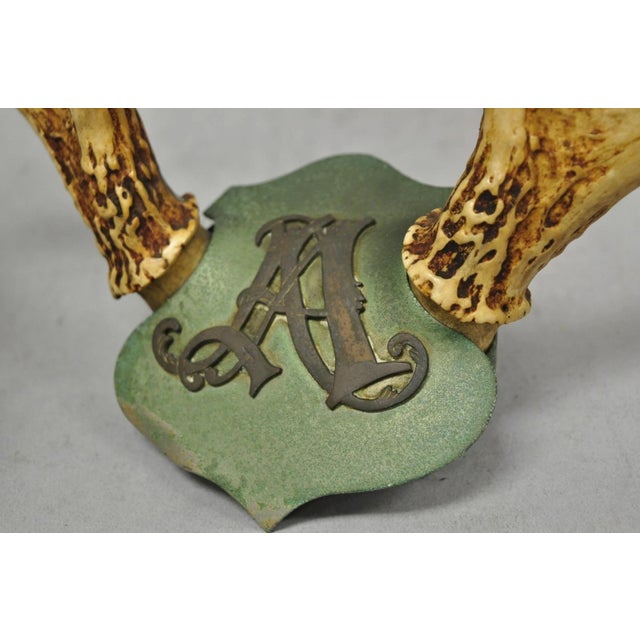 Green Antique Victorian Taxidermy Whitetail Deer Antler Wall Mount Metal Shield Plaque For Sale - Image 8 of 15