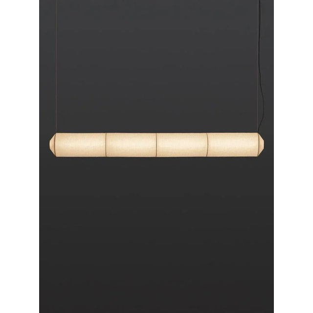 Tekiò Horizontal P4 Pendant Lamp by Anthony Dickens | Chairish