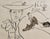 Pablo Picasso - "Feuille D'Etudes, 1960" - Rare Limited Edition signed in the stone Lithograph with pochoir by Pablo...