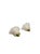 Shell Shaped Glass Wall Lights in the style of La Murrina, 1980s, Set of 2 For Sale - Image 6 of 13