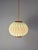 Pendant Lamp with Red Floral Details by Lars Schiøler For Sale - Image 3 of 11