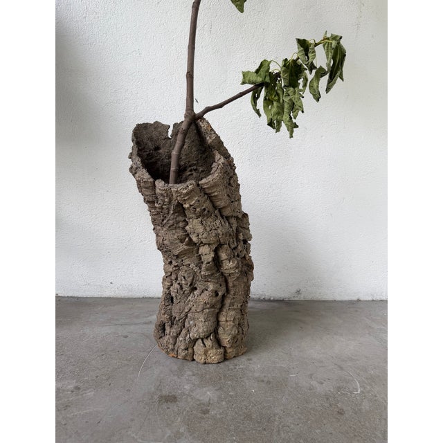 Vintage Cork Bark Vase, 1970s For Sale - Image 12 of 18