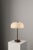 Hana MD Table Lamp in Borosilicate Glass and Brass Finish by Schwung For Sale - Image 13 of 18